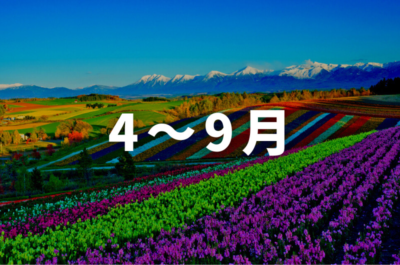 北海道観光ベストシーズンは「4〜9月」